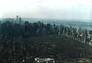 Central Park in New York